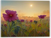 Acrylglas - Roze Bloemen in het Veld bij Wazige Zon - 40x30 cm Foto op Acrylglas (Met Ophangsysteem)