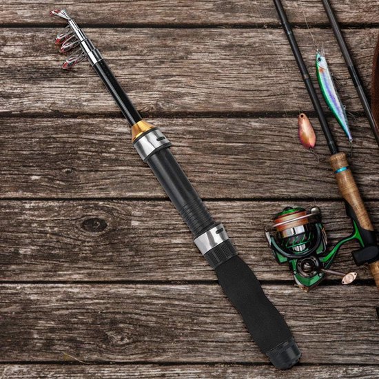 Mini canne à pêche de poche, stylo, canne à pêche pour la pêche en mer,  pêche en eau
