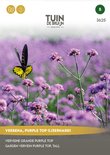 Tuin de Bruijn® zaden - Verbena Purple Top (IJzerhard)