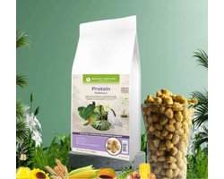 Askio Nature High Protein 3kg - Papegaaienvoer - Biologisch Vogelvoer - Kaketoe - Amazone - Parkieten Voer - Vogel Voer