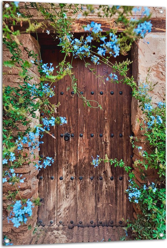 Tuinposter – Blauwe Bloemetjes Groeiend bij Houten Deur - 80x120 cm Foto op Tuinposter (wanddecoratie voor buiten en binnen)