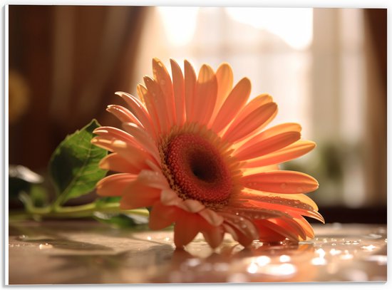 PVC Schuimplaat- Oranje Gerbera Bloem op Tafel met Waterdruppels - 40x30 cm Foto op PVC Schuimplaat