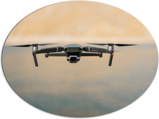 Dibond Ovaal - Drone Vliegend boven het Meer - 108x81 cm Foto op Ovaal (Met Ophangsysteem)