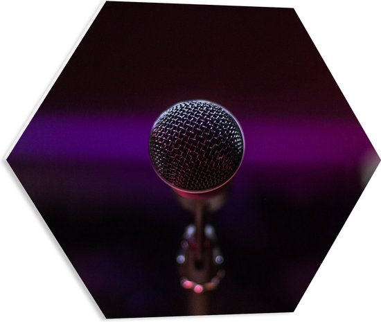 PVC Schuimplaat Hexagon - Close-up van Microfoon op Podium - 50x43.5 cm Foto op Hexagon (Met Ophangsysteem)