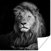 Poster Animaux sauvages - Lion - noir - Wit - 50x50 cm