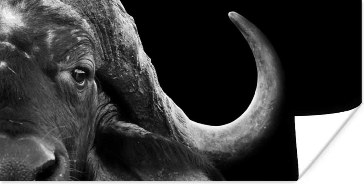 Poster Buffalo - Dieren - Zwart - Wit - 40x20 cm