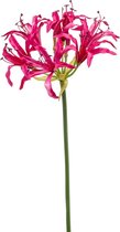 Kunstbloemen - Zijde Bloemen - Nep bloemen Luxe Bloemen - Nerine 75 cm - Natuurlijk Bloemen