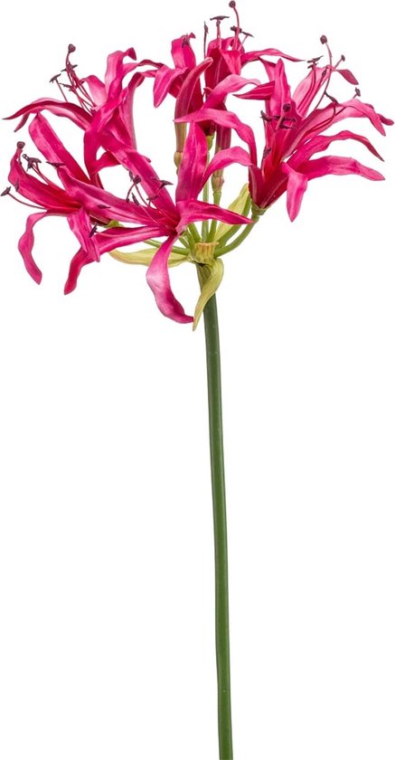 Kunstbloemen - Zijde Bloemen - Nep bloemen Luxe Bloemen - Nerine 75 cm - Natuurlijk Bloemen