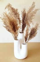 Plumes de pampa avec vase - Plumes de pampa avec vase blanc - Fleurs séchées - Bouquet séché - Vase corne - Vase tulipe