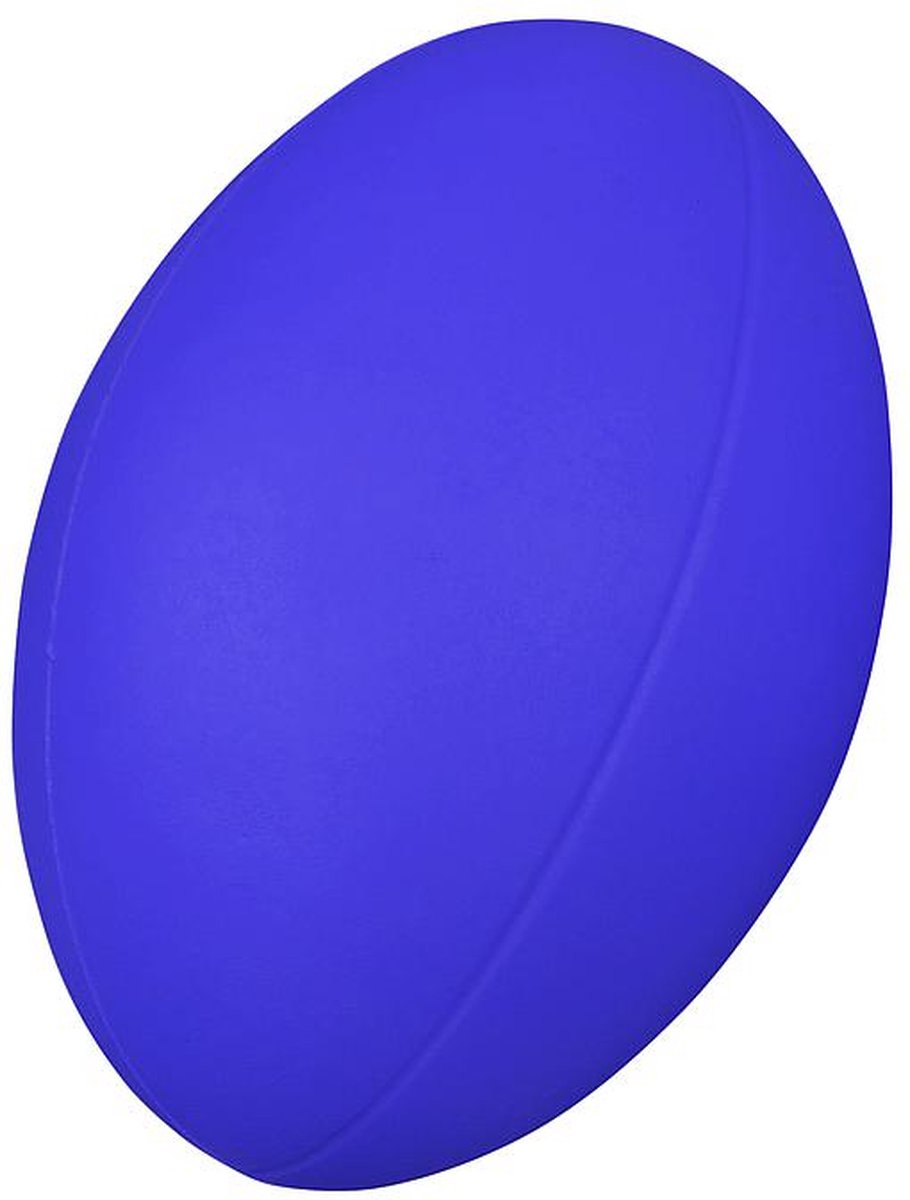 Rugbybal Blauw
