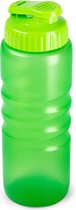 Plasticforte Drinkfles/waterfles/bidon - 650 ml - transparant/groen - kunststof