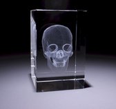 Anatomie model schedel - 3D glazen blok - verpleegkundige cadeau/ dokter cadeau/ geneeskunde cadeau