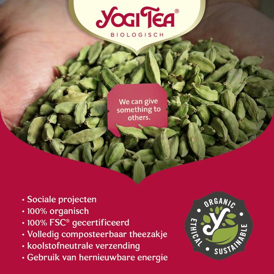 Yogi Tea Thé Chai Curcuma Bio (17 sachets)