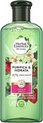 Purifying Shampoo Herbal Botanicals Bio Fresa Menta Moisturizing Strawberry Mint 250 ml
