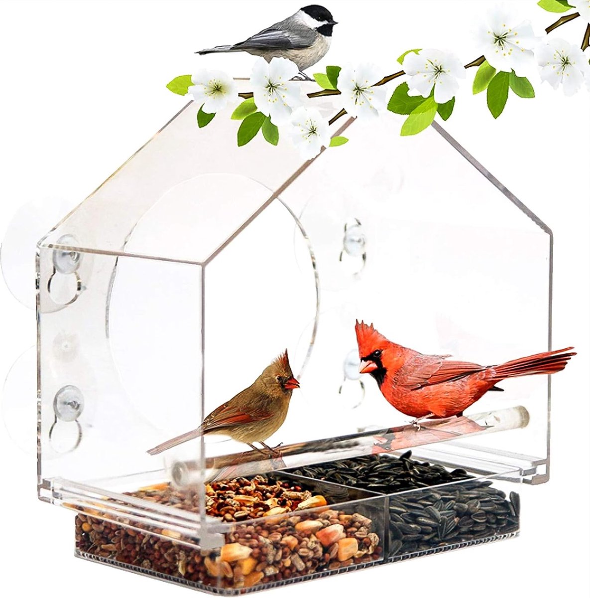 Mangeoire à oiseaux pour fenêtre mangeoire pour oiseaux avec plateau  amovible, trous de drainage et ventouses