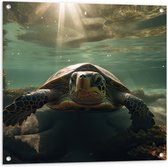 Tuinposter – Oog in Oog met Zeeschildpad - 80x80 cm Foto op Tuinposter (wanddecoratie voor buiten en binnen)