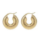 The Jewellery Club - Rixt earrings gold - Oorbellen - Dames oorbellen - Stainless steel - Goud - 3 cm