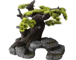Aqua Della Aquarium decoratie Bonsai - 26 x 17,5 x 24cm