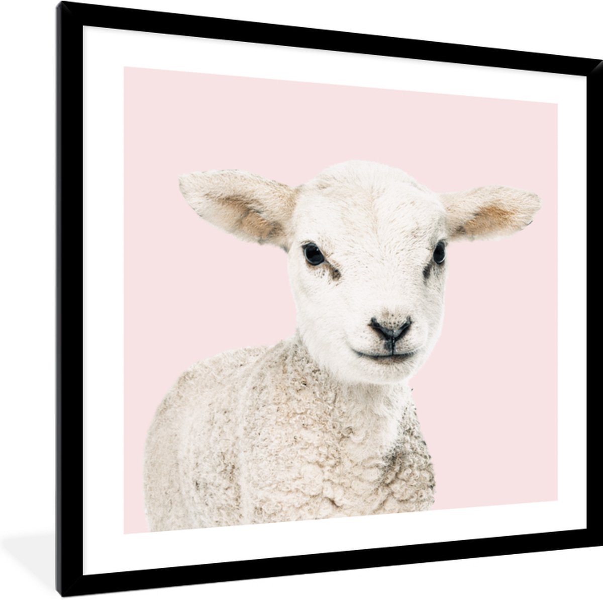 FrameYourWall Fotolijst met poster 40x40 - Lammetje - Schaap - Dieren - Portret - Roze - Fotokader van hout - Kaders en lijsten - Houten fotolijstje - Wissellijst voor muurposter - Picture en photo frame - Posterlijst - Fotohouder Lammetje - 40x40 cm