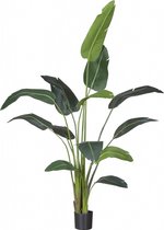 Fleurdirect Kunstplant Strelitzia - Polyester - Groen - 0 x 230 x 0 cm (BxHxD)