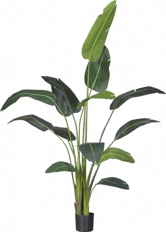 plante artificielle Strelitzia XL