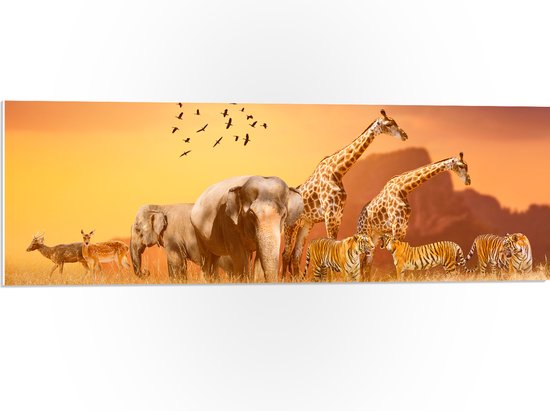 PVC Schuimplaat- De Dieren van het Afrikaanse Landschap - 90x30 cm Foto op PVC Schuimplaat