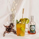 DIY Rum Infusionsset - Zelf Rum Maken - Geschenkset