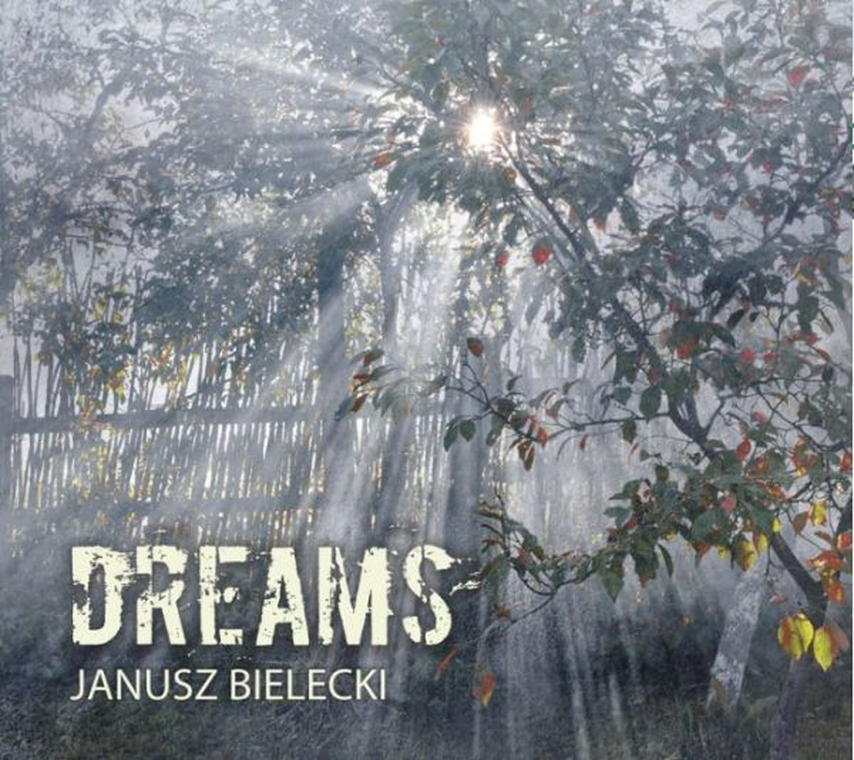 Janusz Bielecki: Dreams [CD]