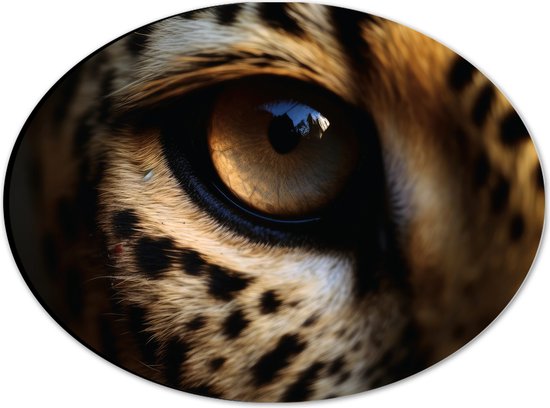 Dibond Ovaal - Close-up van Helder Oog van Luipaard - 28x21 cm Foto op Ovaal (Met Ophangsysteem)