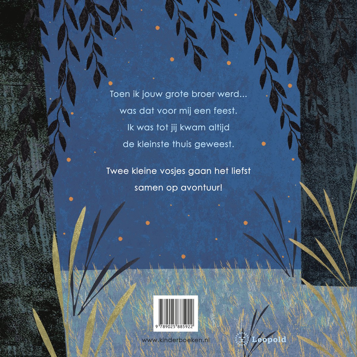 Toen ik jouw grote broer werd - back cover