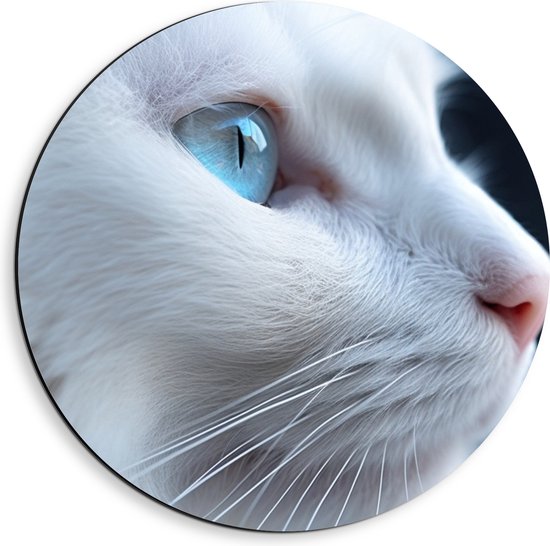 Dibond Muurcirkel - Close-up van Opzijkijkende Witte Kat met Felblauwe Ogen - 40x40 cm Foto op Aluminium Muurcirkel (met ophangsysteem)