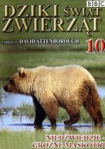 Dziki Świat Zwierząt 10: Niedźwiedzie - Groźne Maskotki (BBC) [DVD]