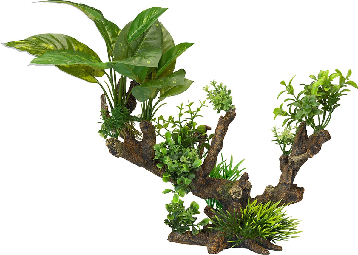 Aqua-d'ella-Flora-Scape-5-maat-XL-33,5x16x27,5-cm-234/432099