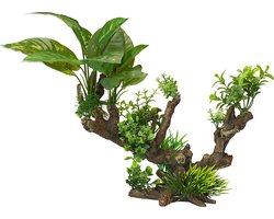 Aqua-d'ella-Flora-Scape-5-maat-XL-33,5x16x27,5-cm-234/432099