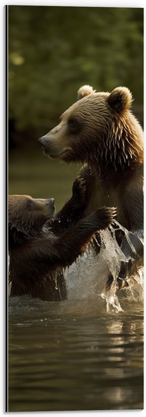 Dibond - Volwassen en kleine beer spelen en wassen in het water - 20x60 cm Foto op Aluminium (Met Ophangsysteem)