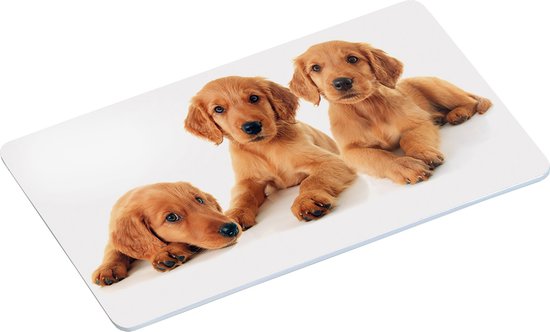 Foto: 4x ontbijtbordjes ontbijtplankjes set puppy print 14 x 24 cm ontbijtborden servies onbreekbare bordjes voor babys peuters kleuters