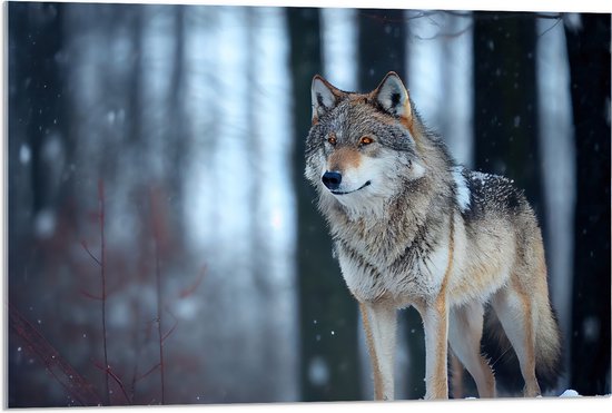 Acrylglas - Wolf staat in een bos in de winter - 90x60 cm Foto op Acrylglas (Wanddecoratie op Acrylaat)