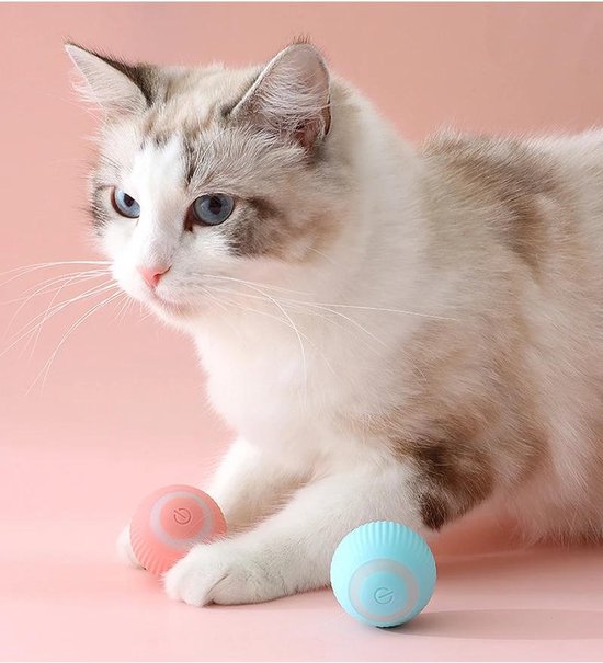 Jouet Interactif pour Chat, Jouet Intelligent pour Chat, Jouet