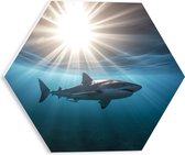 PVC Schuimplaat Hexagon - Witte haai zwemt door de zee met zonnestralen - 30x26.1 cm Foto op Hexagon (Met Ophangsysteem)
