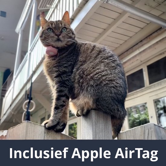 Apple Airtag Chat Chien Collier Réfléchissant Animal Étui Air Étiquette  GPS