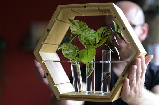 Plantenhanger binnen - Stekstation - Bamboe plantenhanger - Incl. 3 reageerbuisjes