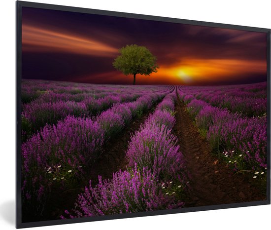 Photo encadrée - Beau champ de lavande un soir sombre avec cadre photo coucher de soleil noir 120x80 cm - Affiche encadrée (Décoration murale salon / chambre)