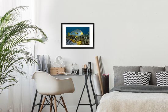 Affiche avec cadre Poisson - Fond - Mer - 40x30 cm