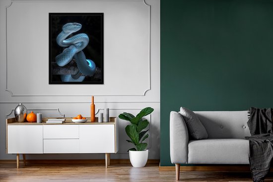 Affiche avec cadre Serpent bleu - 60x80 cm