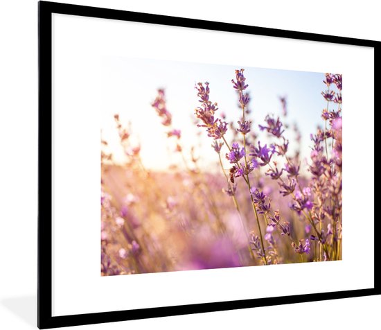 Poster - Fotolijst - Bloemen - Lavendel - Bij - Zon - Licht - Posterlijst - Kader - Frame - 80x60 cm - Poster lavendel - Poster met lijst - Kamer decoratie