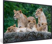 Fotolijst incl. Poster - Leeuwen - Dieren - Welpen - 120x80 cm - Posterlijst