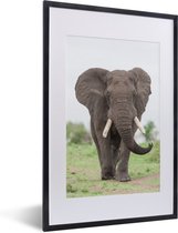 Cadre photo avec affiche - Éléphant venant en sens inverse - 40x60 cm - Cadre pour affiche