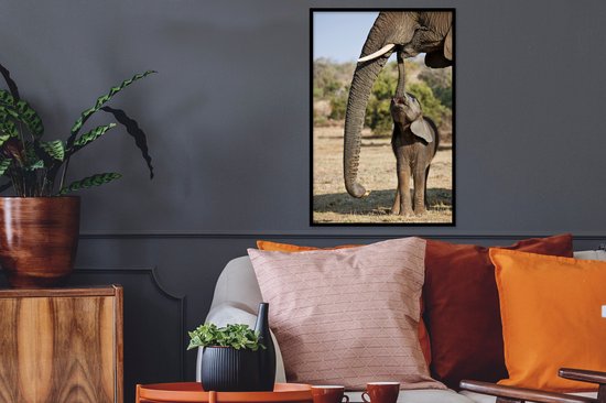 Cadre photo avec affiche - Bébé éléphant communique avec sa mère - 40x60 cm - Cadre pour affiche