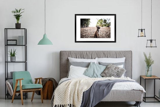Fotolijst incl. Poster - Mechelse herder pup die omhoog kijkt - 90x60 cm - Posterlijst