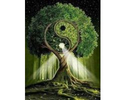 Diamond painting – ying-yang – 50x40 cm – vierkante stenen